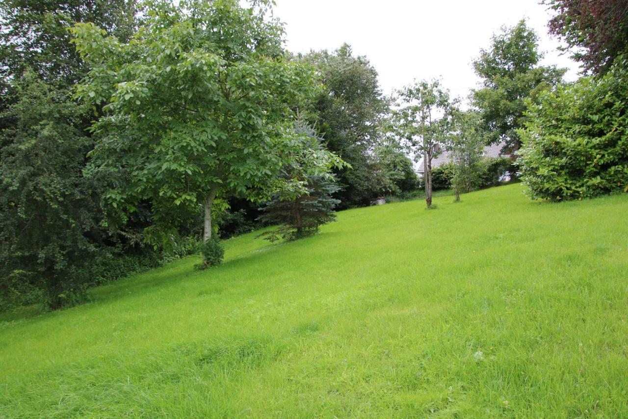 Ferienhaus Eifelnest Scheid  Zewnętrze zdjęcie